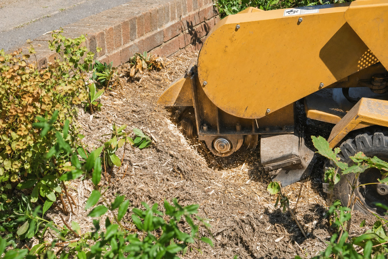 Stump grinding