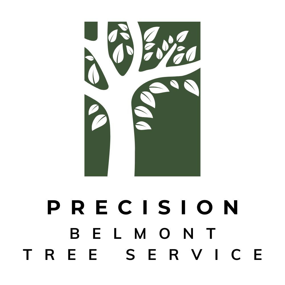 Precision Belmont Tree Service